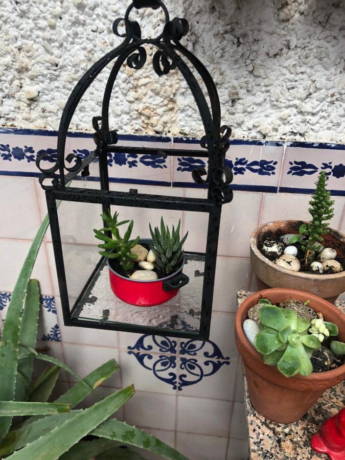 Apartamento Alhambra en el Sacromonte Granada Exterior foto